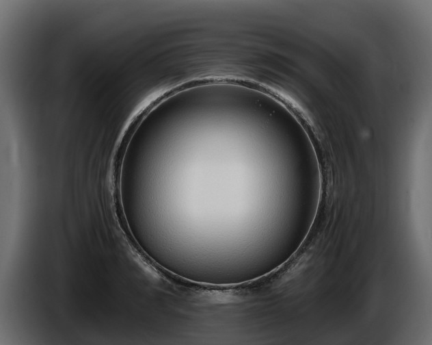 X0000085790990200703231304