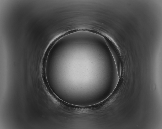 X0000085790991200703231304