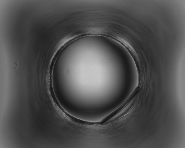 X0000085790992200703231304