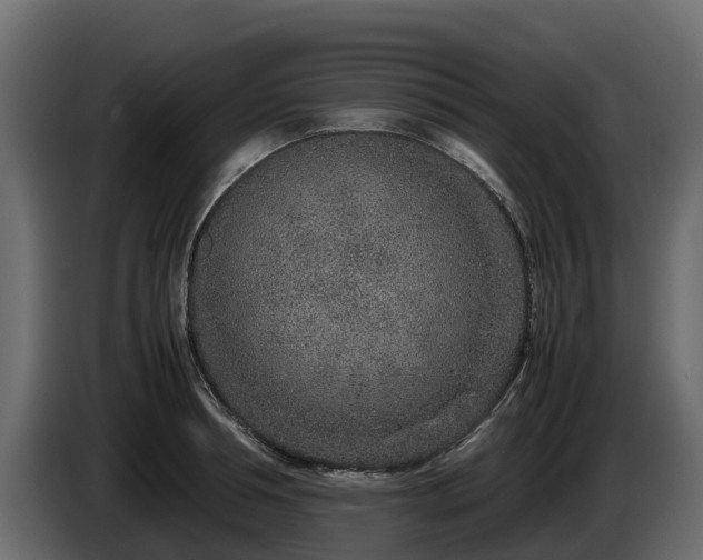 X0000085790994200703231304