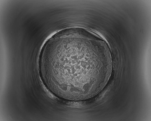 X0000085790995200703231304