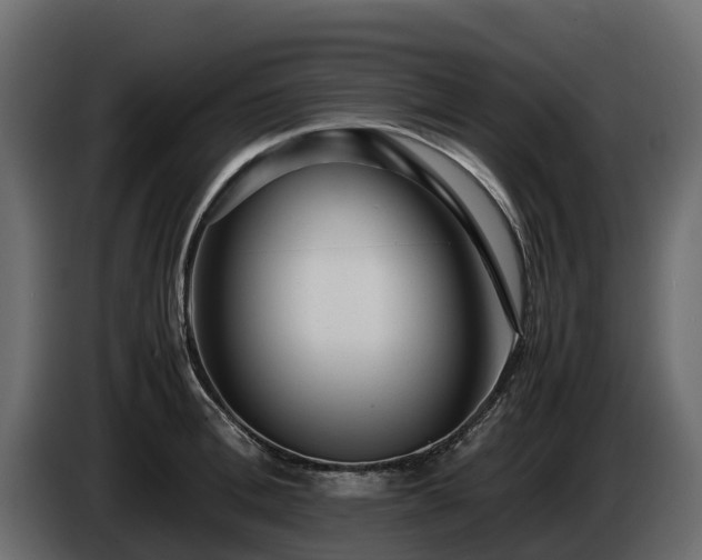 X0000085790996200703231304