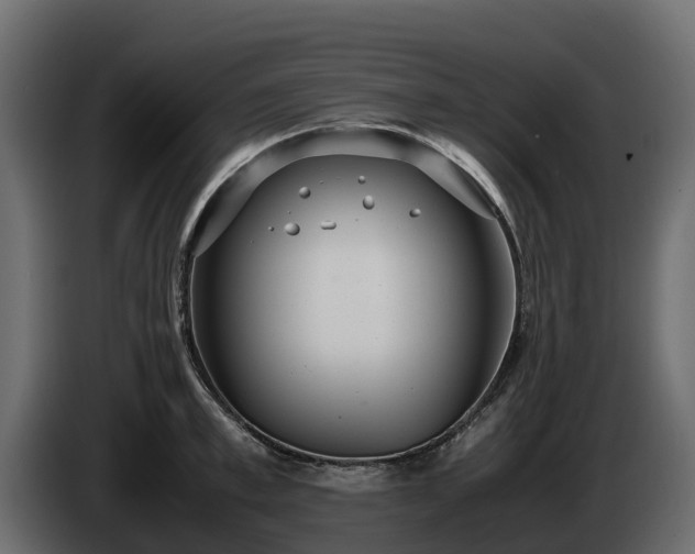 X0000085790997200703231304