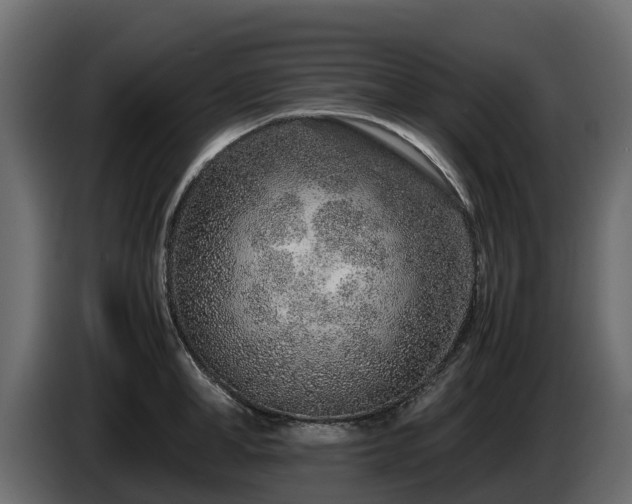 X0000085790998200703231304