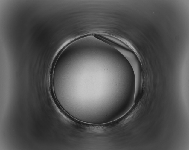 X0000085790999200703231304