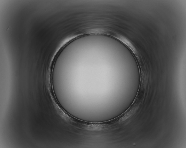 X0000085791000200703231304