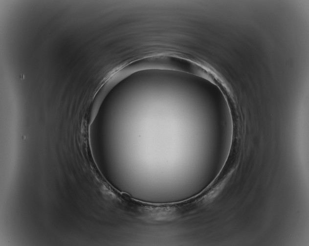 X0000085791001200703231304