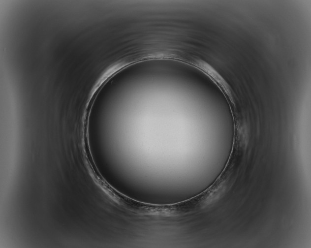 X0000085791002200703231304