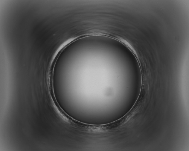 X0000085791003200703231304