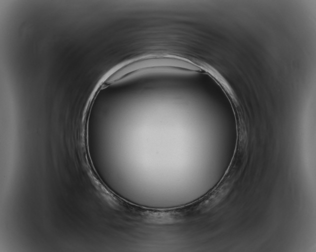 X0000085791004200703231304