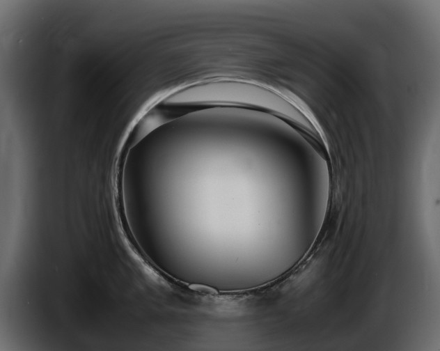 X0000085791005200703231304