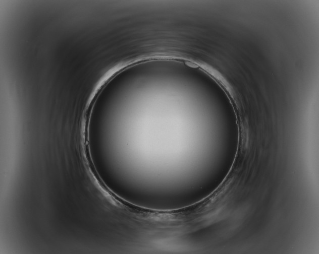 X0000085791006200703231304
