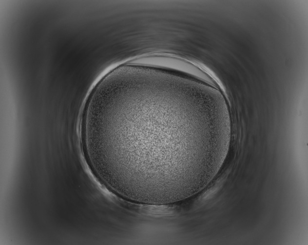 X0000085791007200703231304