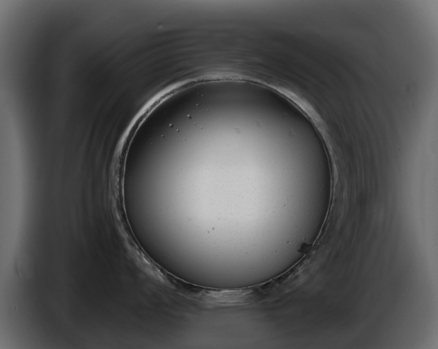 X0000085791008200703231304