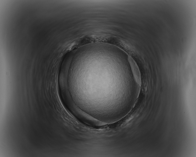 X0000085791010200703231303
