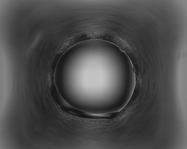 X0000085791012200703231303
