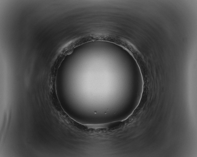 X0000085791016200703231303