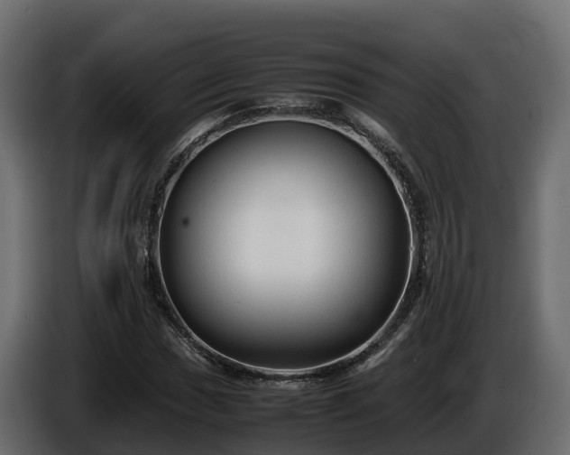 X0000085791017200703231303