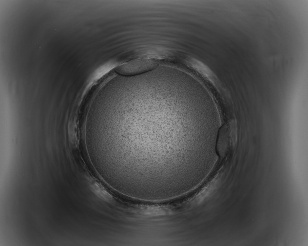 X0000085791018200703231303