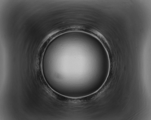 X0000085791019200703231303