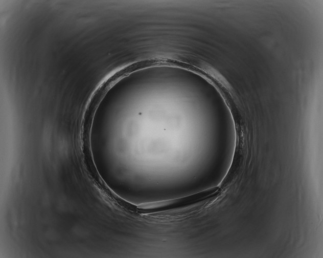 X0000085791020200703231303