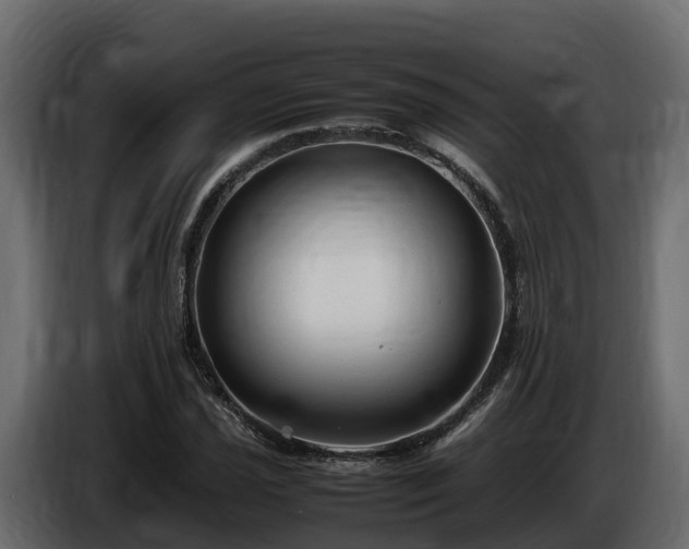 X0000085791021200703231303