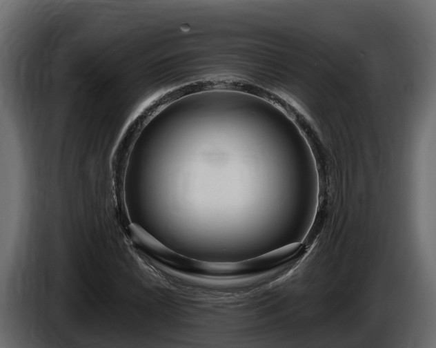 X0000085791022200703231303