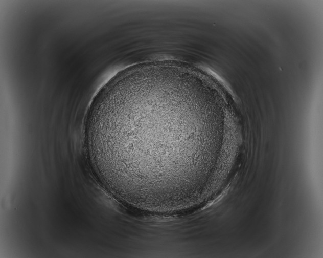 X0000085791023200703231303