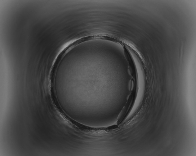 X0000085791024200703231303