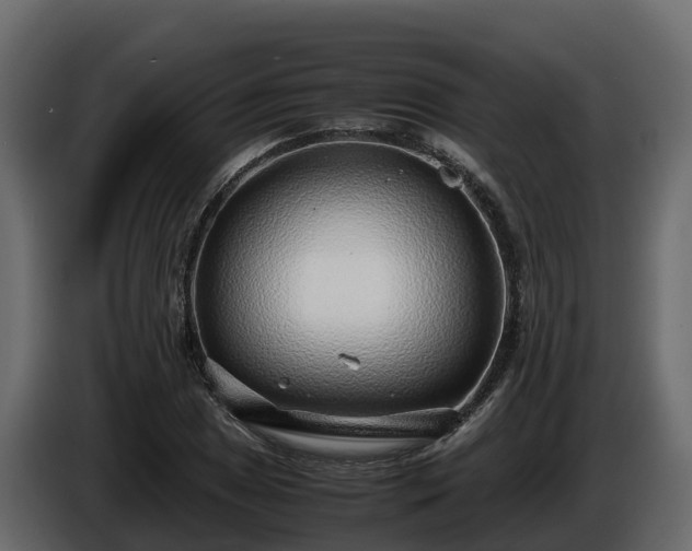 X0000085791025200703231303