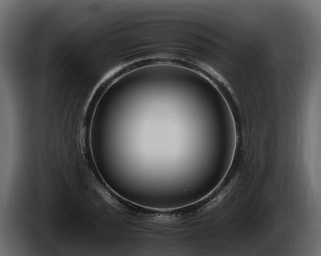X0000085791029200703231303