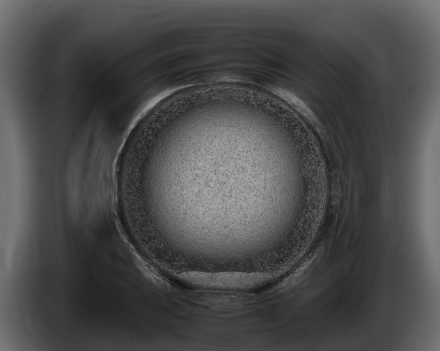 X0000085791031200703231303