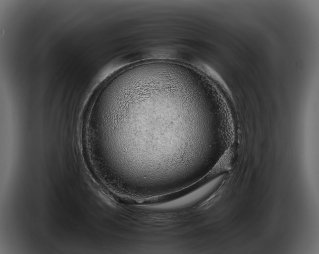 X0000085791035200703231303