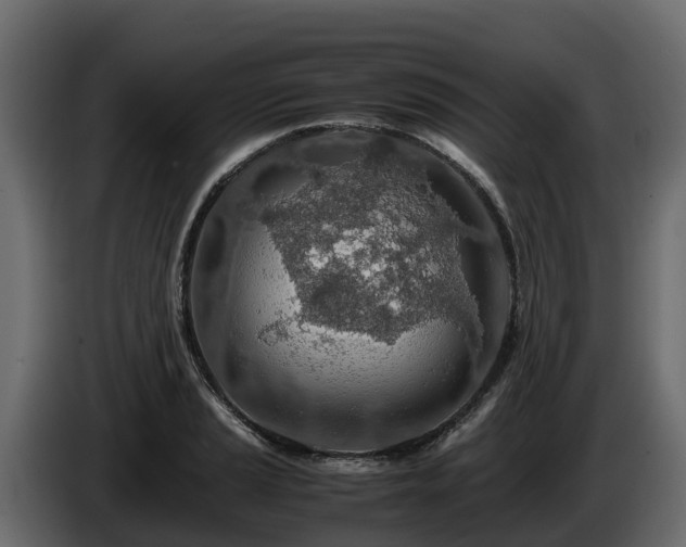 X0000085791037200703231303