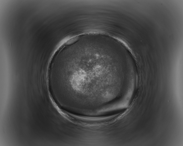 X0000085791038200703231303