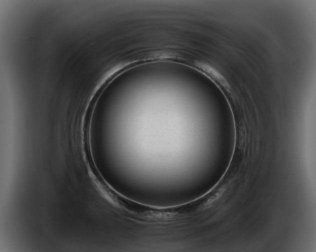 X0000085791039200703231303