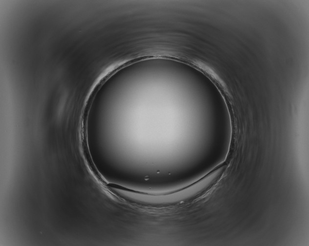 X0000085791040200703231303