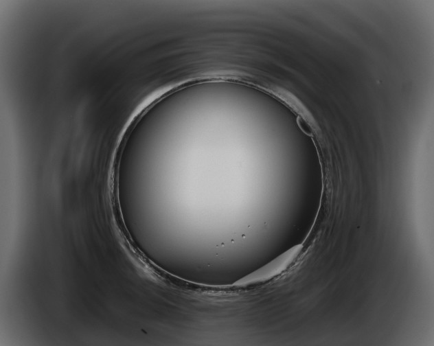 X0000085791044200703231303