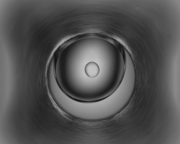 X0000085791046200703231303