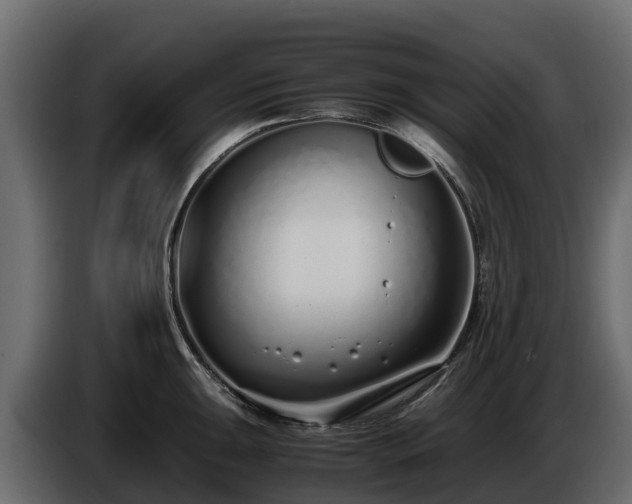 X0000085791047200703231303