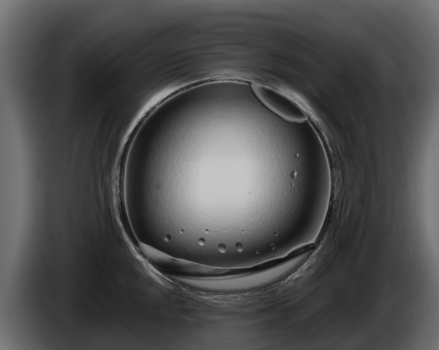 X0000085791048200703231303