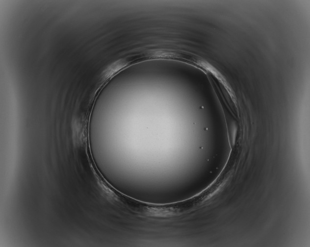 X0000085791049200703231303