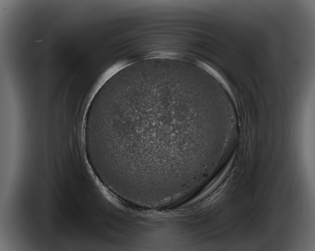 X0000085791050200703231303