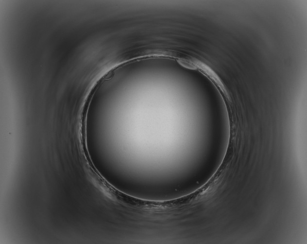 X0000085791051200703231304