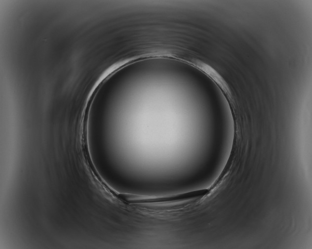 X0000085791052200703231304