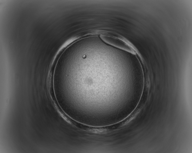 X0000085791053200703231304