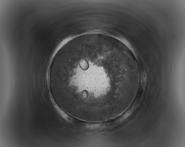 X0000085791054200703231304