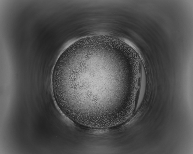 X0000085791055200703231304