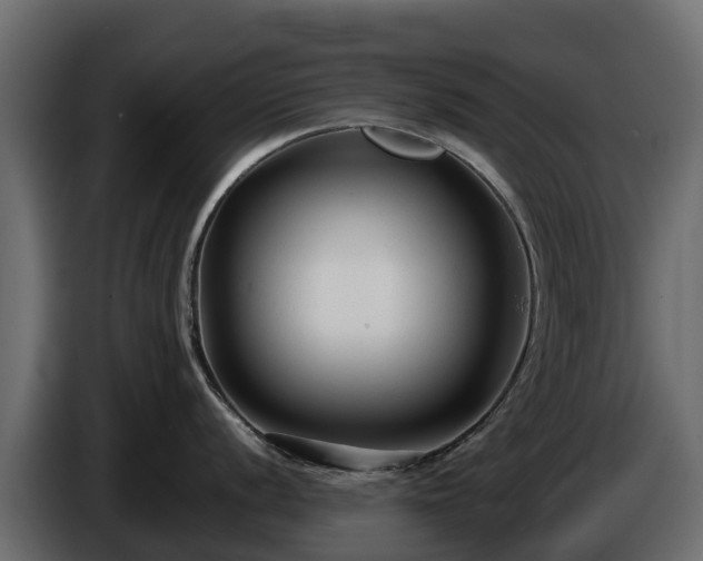 X0000085791056200703231304