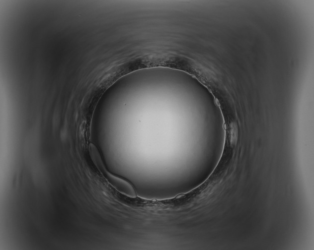 X0000085791059200703231303